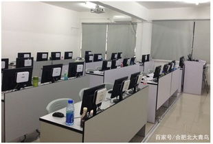 合肥計算機(jī)編程培訓(xùn)新選擇 北大青鳥協(xié)同學(xué)院深度解析